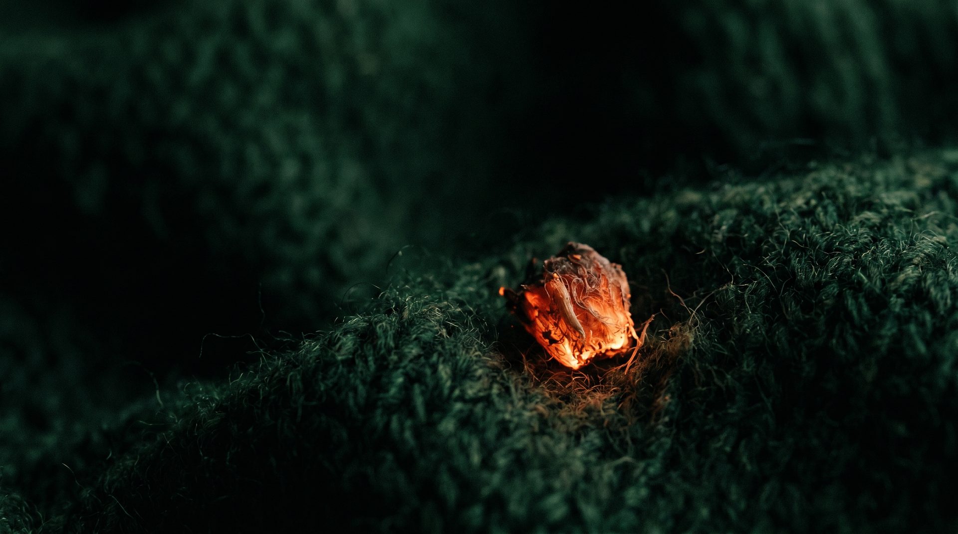 A single ember on forest-green wool